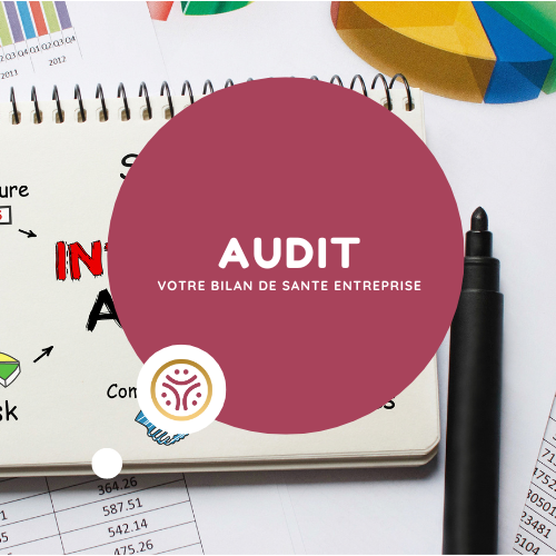 AUDIT QVT